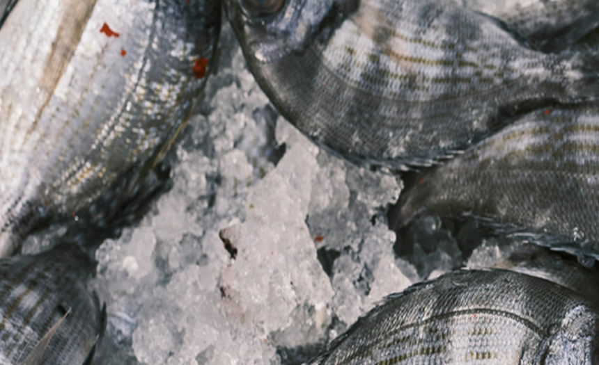 Adelaide Seafood photo 2