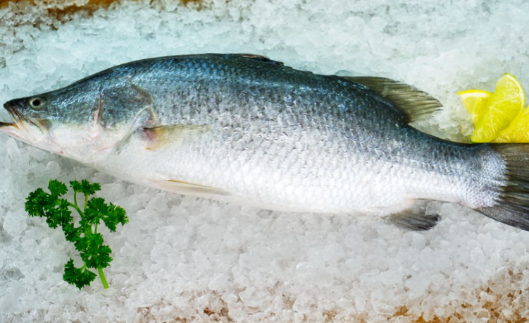 Whole Baby Barramundi on a bed of salt with a lemon and parsley garnish