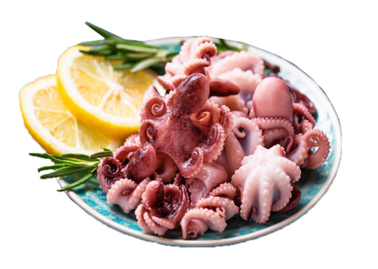 Baby Octopus Imported - 1kg bag