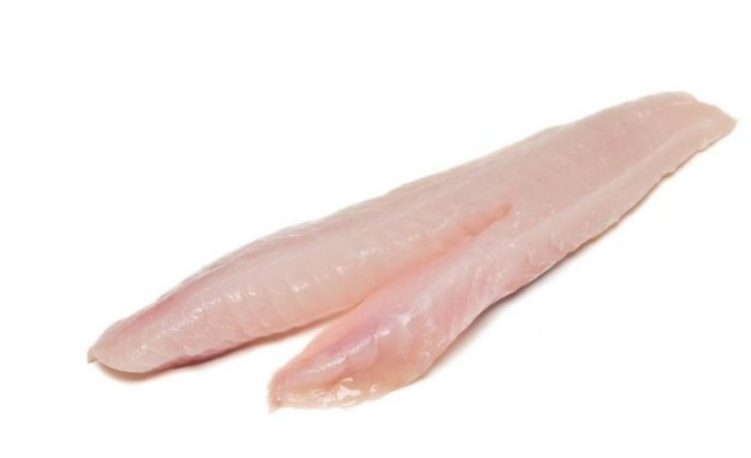 Gurnard fillet on a white background