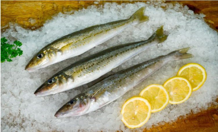 Whole King George Whiting on a bed of ice with lemon slices next to them