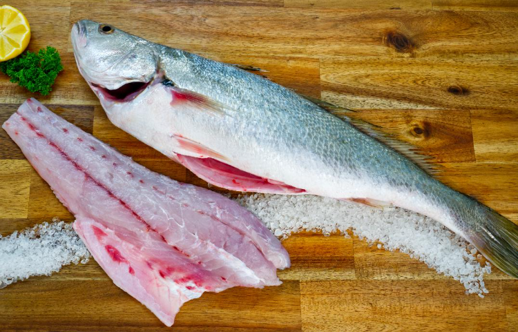 Mulloway Whole 1.2-2.5kg