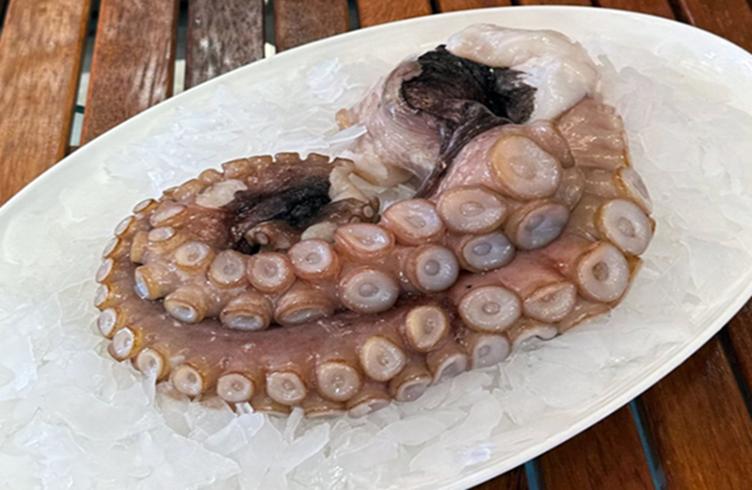 Octopus - 1kg