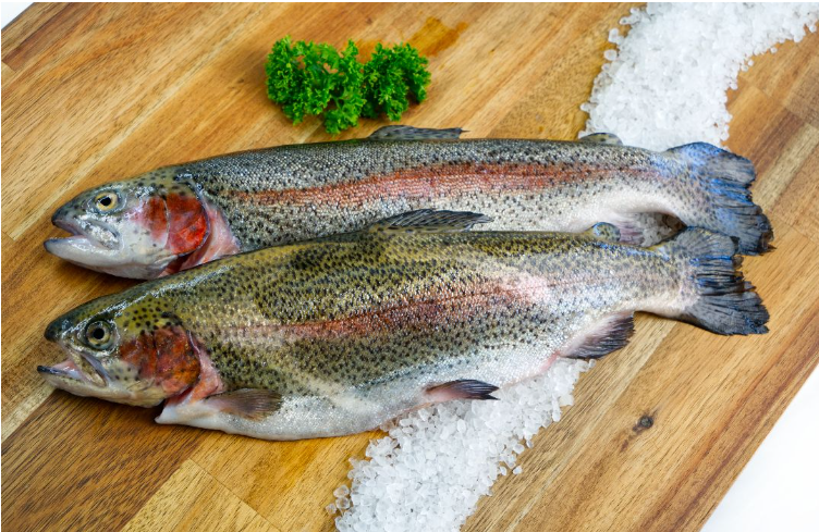 Rainbow Trout Whole 600-800g