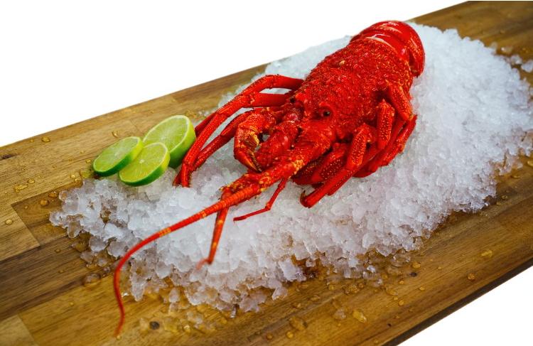 Crayfish Size B - 1kg and above