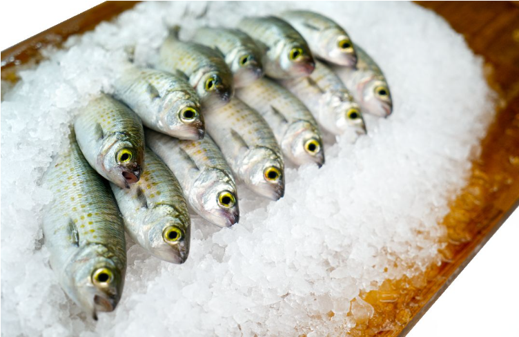 Tommy Ruff Whole 100g